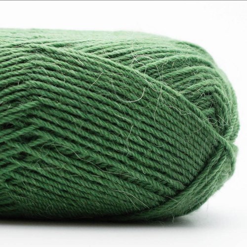 Edelweiss ALPAKA 25g - 44 - kaktus